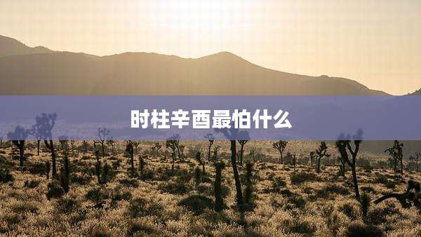 时柱辛酉最怕什么