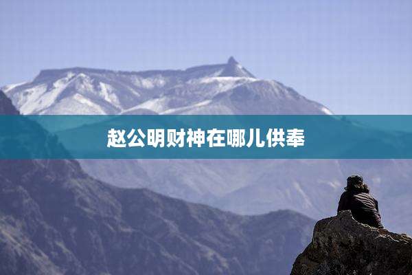 赵公明财神在哪儿供奉