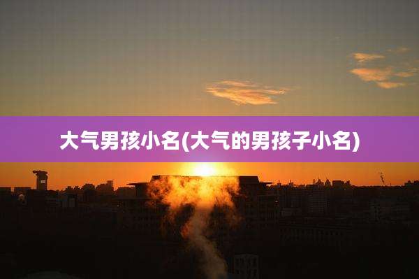 大气男孩小名(大气的男孩子小名)