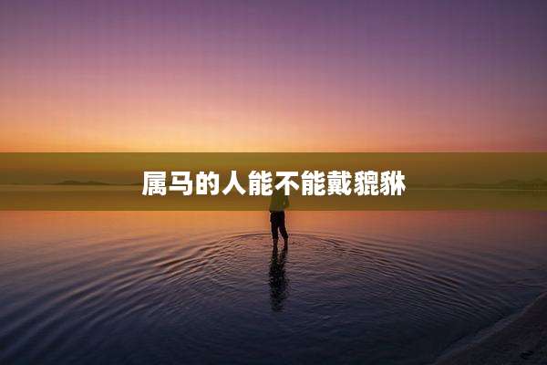 属马的人能不能戴貔貅