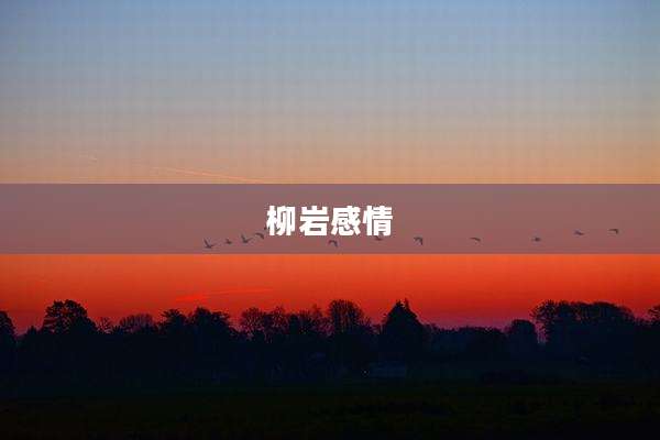 柳岩感情