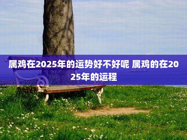 属鸡在2025年的运势好不好呢 属鸡的在2025年的运程