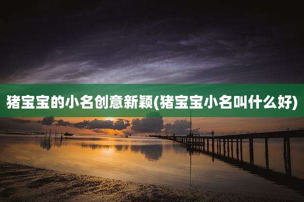 猪宝宝的小名创意新颖(猪宝宝小名叫什么好)