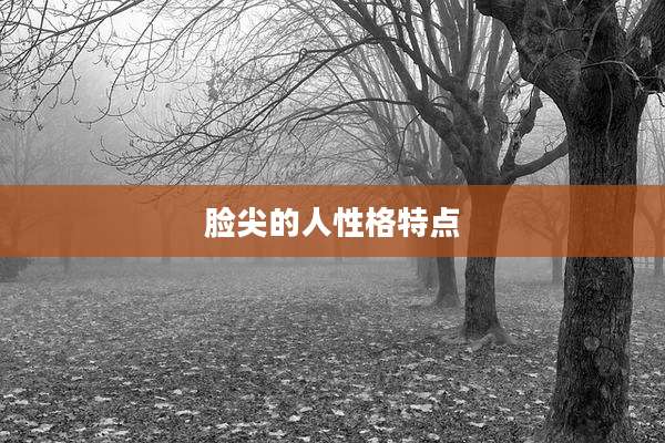 脸尖的人性格特点