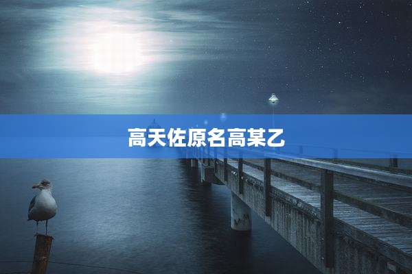 高天佐原名高某乙