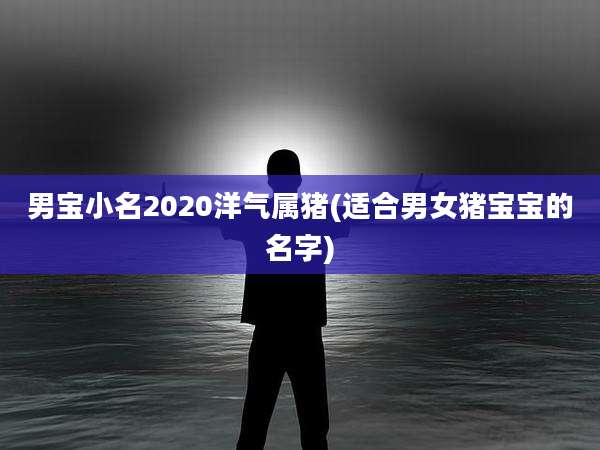 男宝小名2020洋气属猪(适合男女猪宝宝的名字)