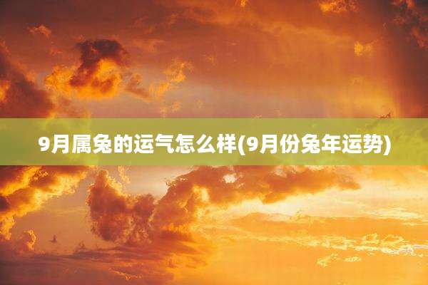 9月属兔的运气怎么样(9月份兔年运势)