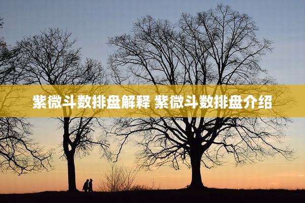 紫微斗数排盘解释 紫微斗数排盘介绍