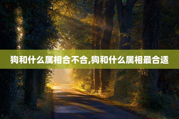 狗和什么属相合不合,狗和什么属相最合适