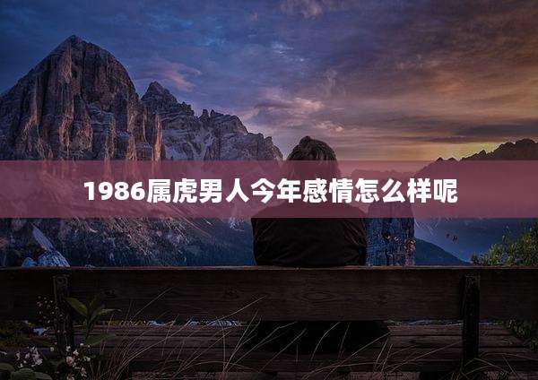 1986属虎男人今年感情怎么样呢