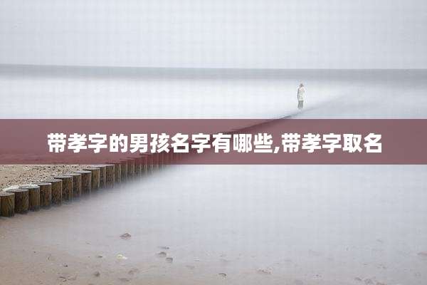 带孝字的男孩名字有哪些,带孝字取名
