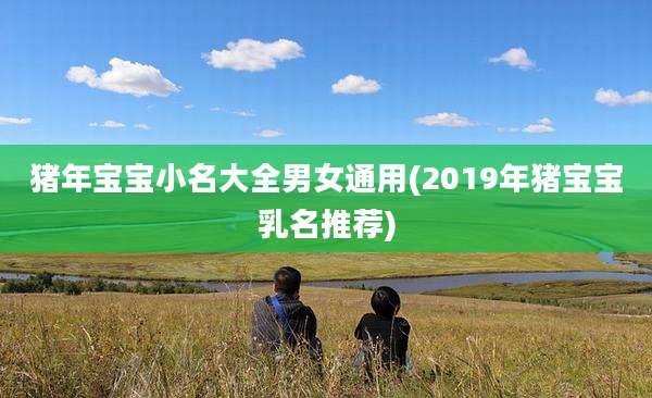 猪年宝宝小名大全男女通用(2019年猪宝宝乳名推荐)