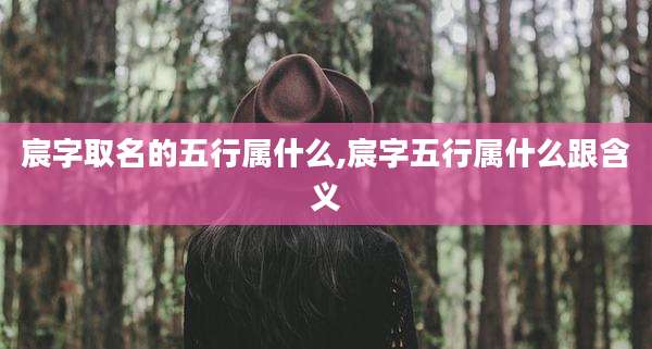 宸字取名的五行属什么,宸字五行属什么跟含义
