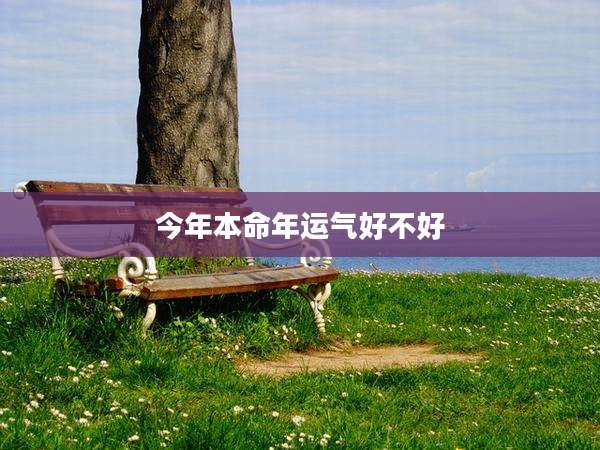 今年本命年运气好不好