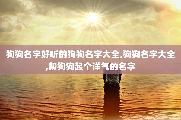 狗狗名字好听的狗狗名字大全,狗狗名字大全,帮狗狗起个洋气的名字
