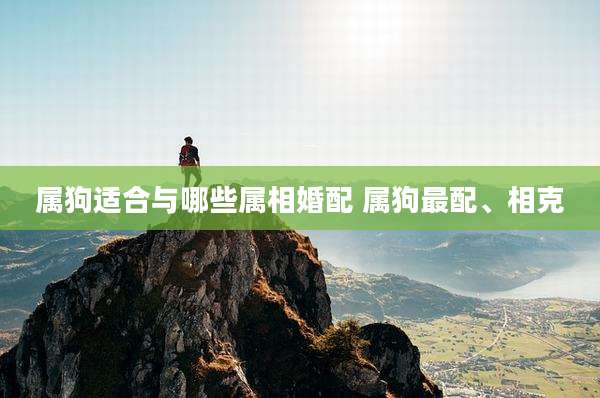 属狗适合与哪些属相婚配 属狗最配、相克