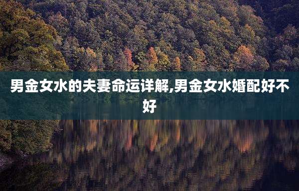 男金女水的夫妻命运详解,男金女水婚配好不好