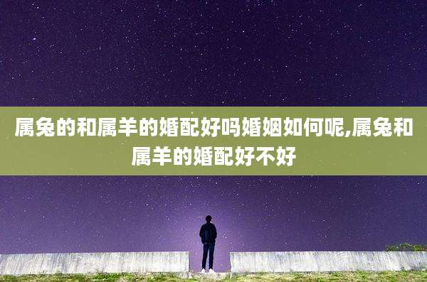属兔的和属羊的婚配好吗婚姻如何呢,属兔和属羊的婚配好不好