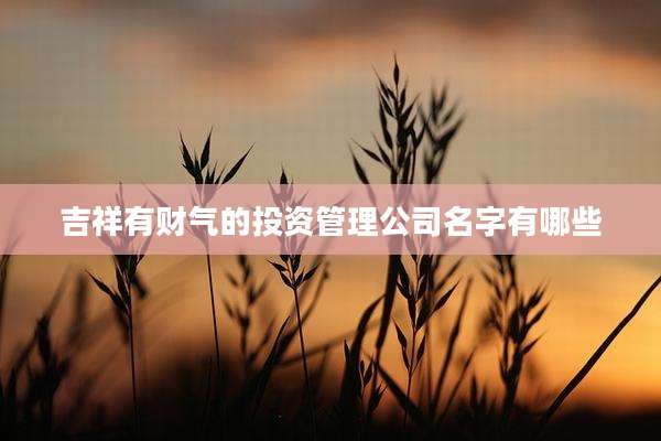 吉祥有财气的投资管理公司名字有哪些