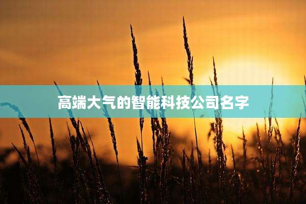 高端大气的智能科技公司名字