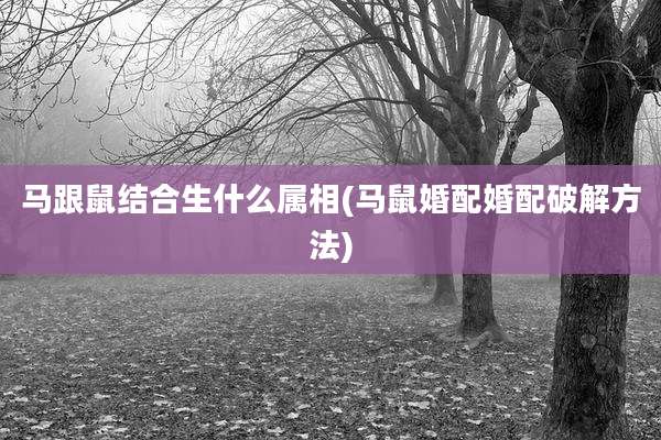马跟鼠结合生什么属相(马鼠婚配婚配破解方法)