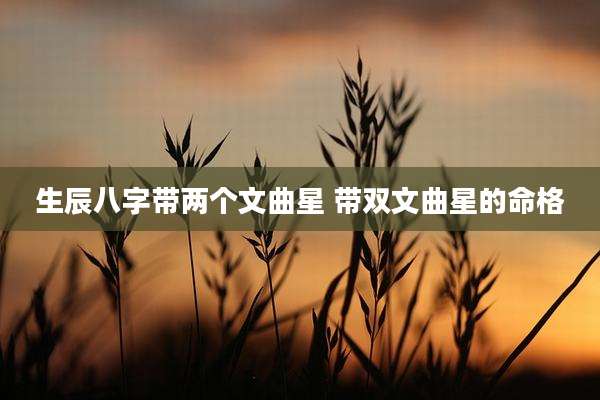 生辰八字带两个文曲星 带双文曲星的命格