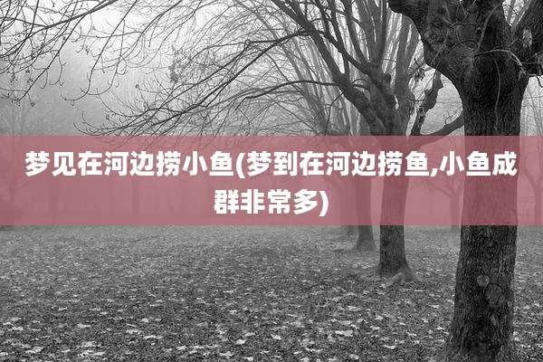 梦见在河边捞小鱼(梦到在河边捞鱼,小鱼成群非常多)