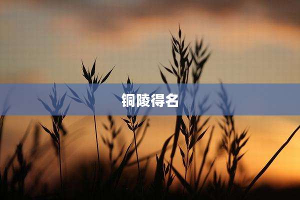 铜陵得名