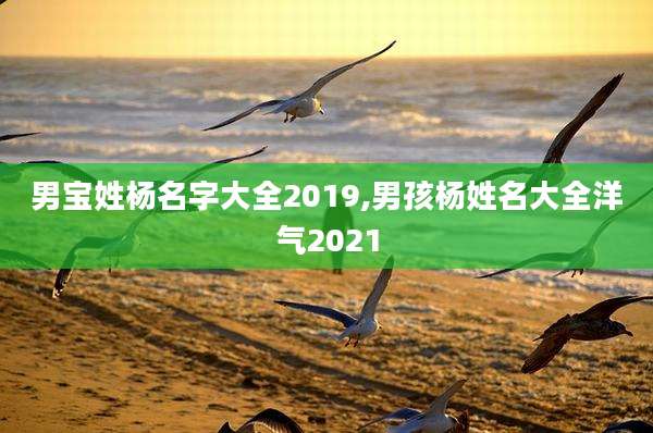 男宝姓杨名字大全2019,男孩杨姓名大全洋气2021