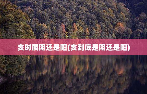 亥时属阴还是阳(亥到底是阴还是阳)