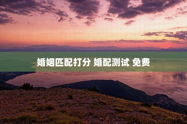 婚姻匹配打分 婚配测试 免费