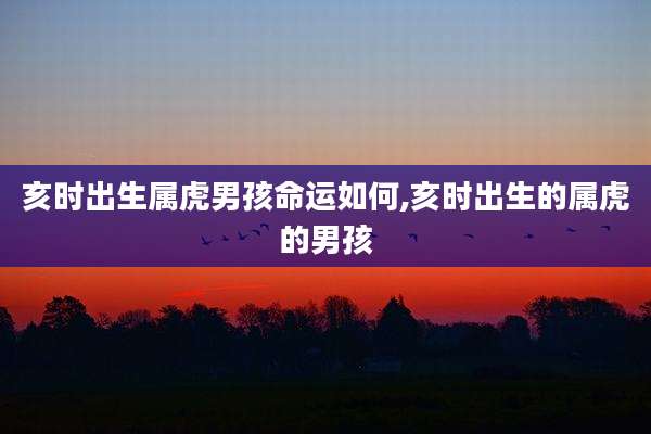 亥时出生属虎男孩命运如何,亥时出生的属虎的男孩
