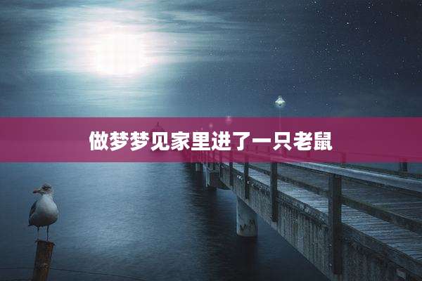 做梦梦见家里进了一只老鼠