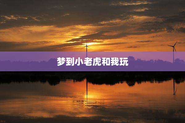 梦到小老虎和我玩