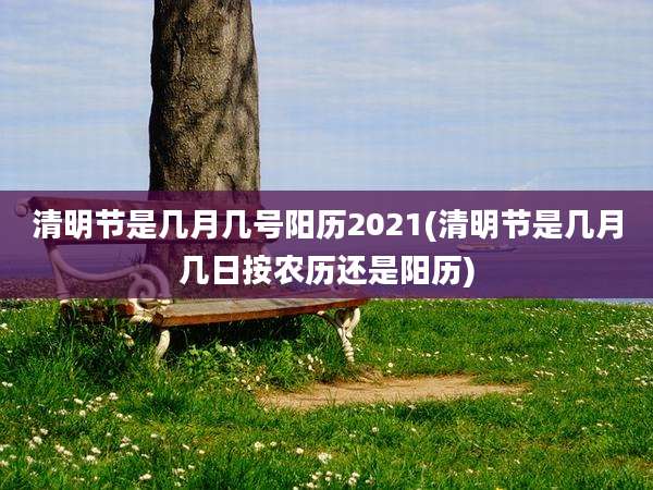 清明节是几月几号阳历2021(清明节是几月几日按农历还是阳历)