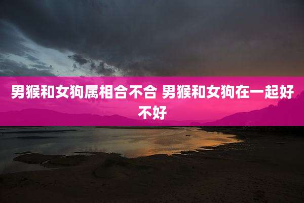 男猴和女狗属相合不合 男猴和女狗在一起好不好