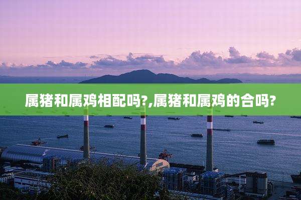 属猪和属鸡相配吗?,属猪和属鸡的合吗?