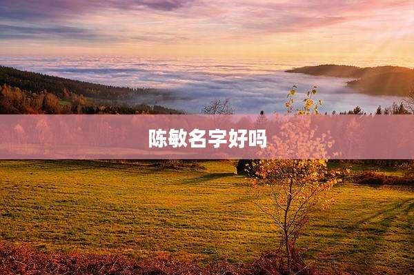 陈敏名字好吗