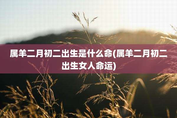 属羊二月初二出生是什么命(属羊二月初二出生女人命运)