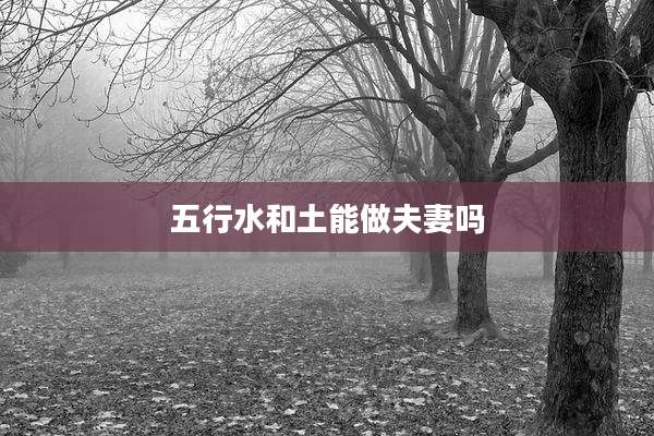 五行水和土能做夫妻吗