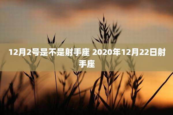 12月2号是不是射手座 2020年12月22日射手座