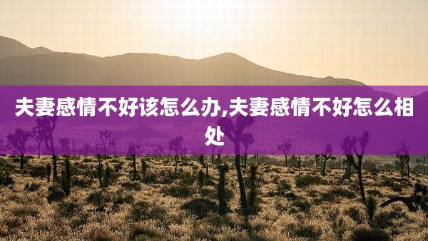 夫妻感情不好该怎么办,夫妻感情不好怎么相处
