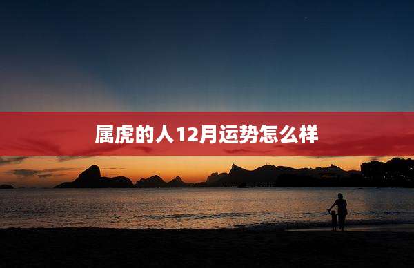 属虎的人12月运势怎么样
