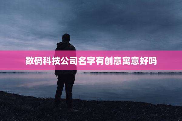 数码科技公司名字有创意寓意好吗