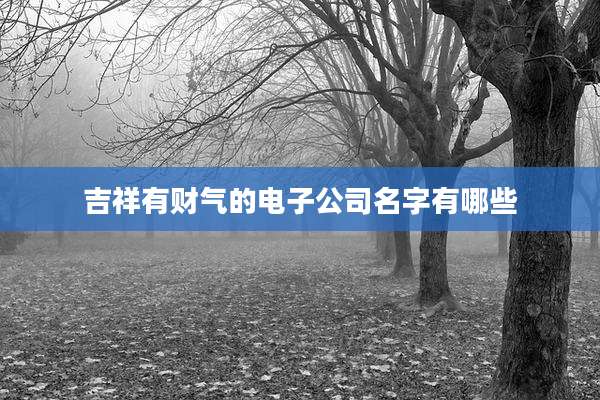 吉祥有财气的电子公司名字有哪些