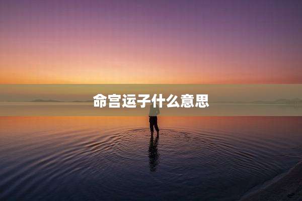 命宫运子什么意思