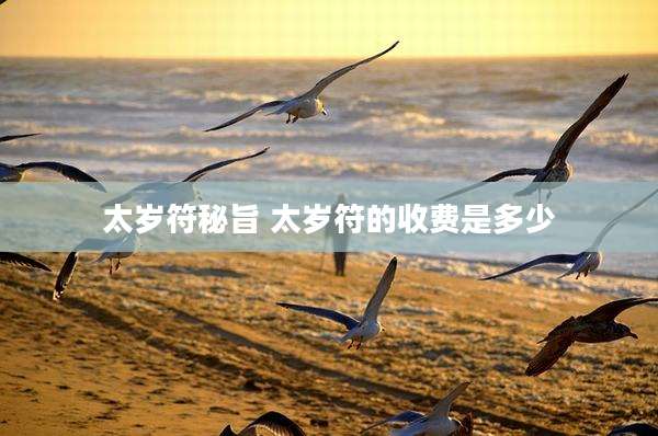太岁符秘旨 太岁符的收费是多少