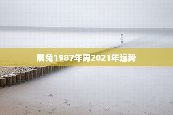 属兔1987年男2021年运势