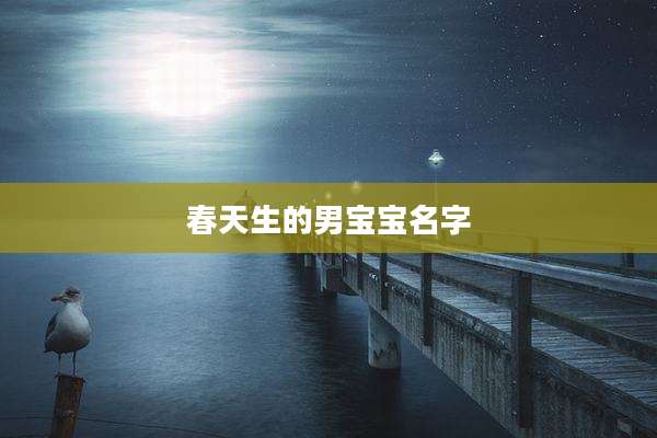 春天生的男宝宝名字