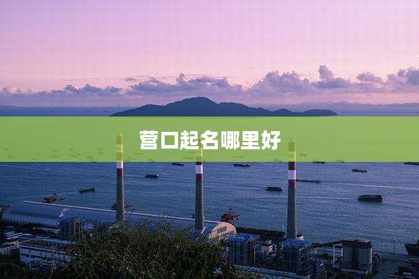 营口起名哪里好
